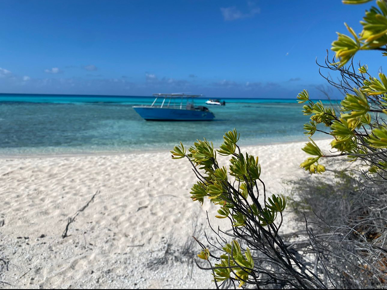 Ile au récif