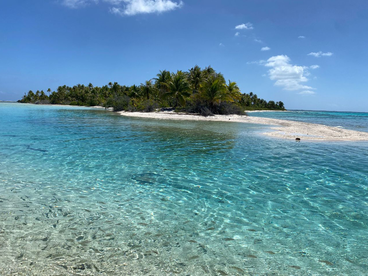 Ile au récif