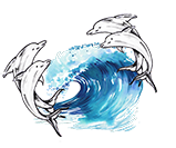 logo rangitea